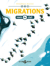Image de Migrations vues du ciel