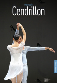 Image de Cendrillon Carnet De Creation