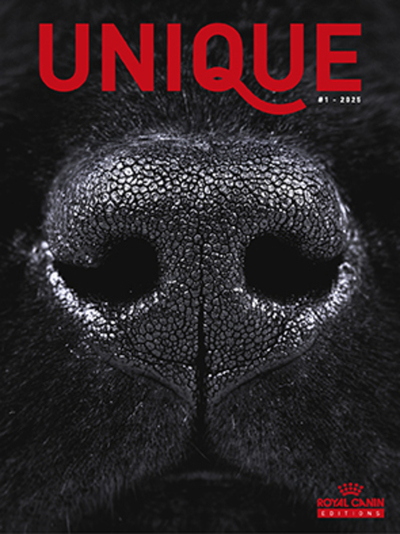 Picture of Unique