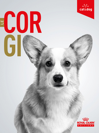 Picture of Le Corgi