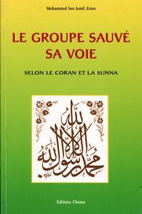 Image de LE GROUPE SAUVé  SA VOIE