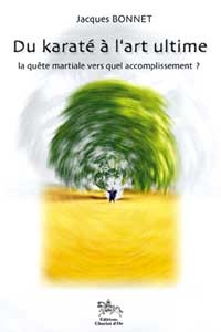 Image de Du karaté à l'art ultime - Quête martiale