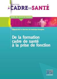 Image de De la formation de cadre de santé à la prise de fonction