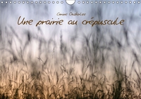 Image de Barbedor