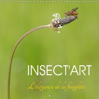 Picture of LOT COUVERTURES EN TUILE DE TERRE CUITE