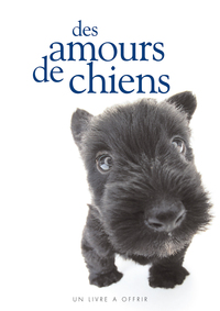Image de Amours de chiens