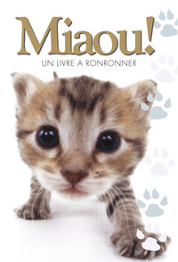 Picture of Miaou