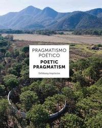 Image de Dellekamp Arquitectos: Poetic Pragmatism /anglais