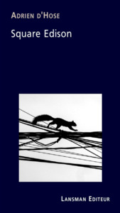 Picture of SQUARE EDISON