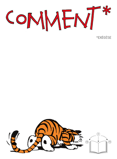 Picture of Comment