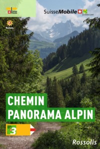 Image de LA SUISSE A PIED CHEMIN PANORAMA ALPIN