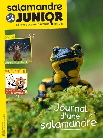 Picture of N°120 La salamandre junior