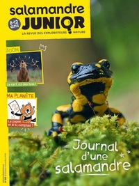 Picture of N°120 La salamandre junior