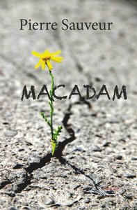 Picture of Macadam