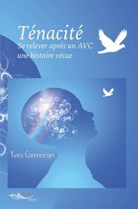 Picture of Ténacité Se relever après un AVC