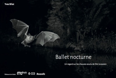 Image de Ballet nocturne
