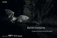 Image de Ballet nocturne
