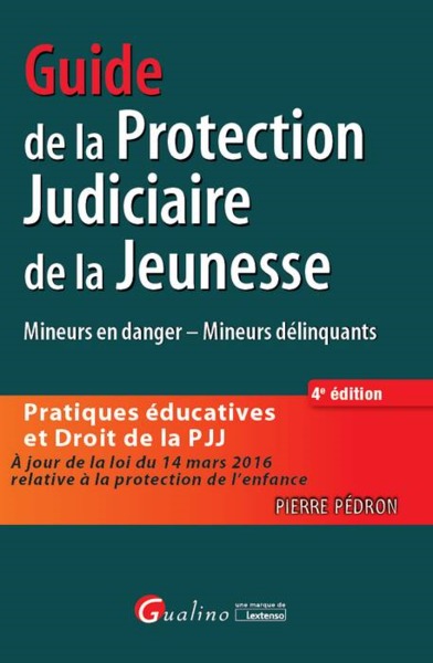 Image de GUIDE DE LA PROTECTION JUDICIAIRE DE LA JEUNESSE - 4EME EDITION
