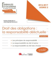 Image de DROIT DES OBLIGATIONS : LA RESPONSABILITÉ DÉLICTUELLE - L2-S2