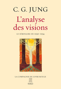 Image de L'ANALYSE DES VISIONS