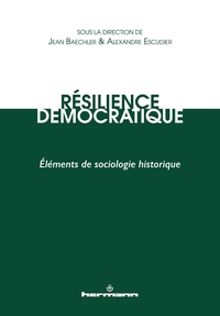 Picture of Résilience démocratique