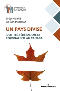 Picture of Un pays divisé