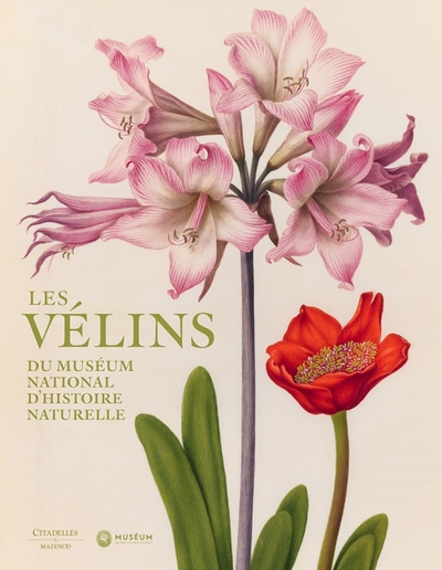 Image de Les velins du Museum d'histoire naturelle