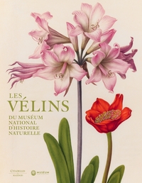 Image de Les velins du Museum d'histoire naturelle