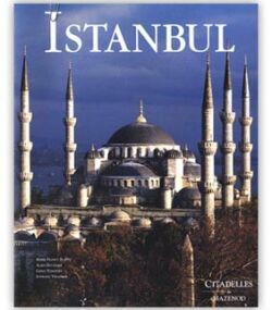 Picture of Istanbul