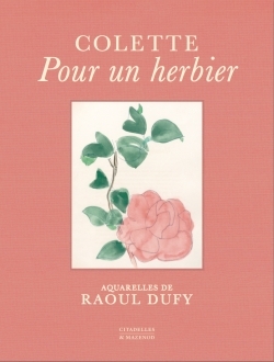 Picture of Pour un herbier
