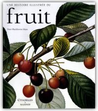 Picture of Fruits