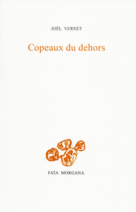 Picture of Copeaux du dehors