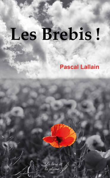 Image de LES BREBIS !