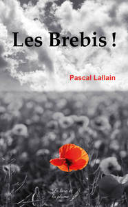 Image de LES BREBIS !