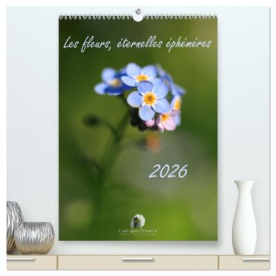 Image de Les fleurs, éternelles éphemères  (Calendrier mural 2026 DIN A2 horizontal) calendrier de bureau