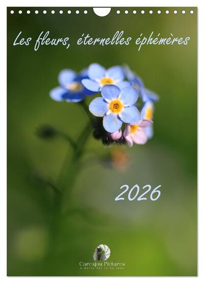 Image de Les fleurs, éternelles éphemères (Calendrier mural 2026 DIN A4 horizontal), CALVENDO calendrier mensuel