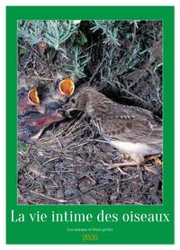 Picture of La vie intime des oiseaux Les oiseaux et leurs petits (Calendrier mural 2026 DIN A2 horizontal), CALVENDO calendrier mensuel