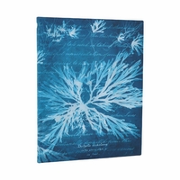 Image de Carnet Flexis Fleurs Marines Ultra Non ligné