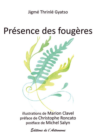 Image de Presence Des Fougeres