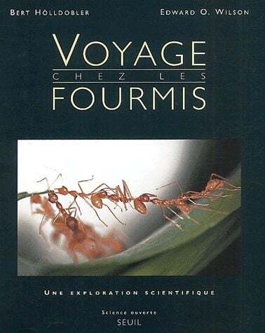 Picture of Voyage chez les fourmis. Une exploration scientifique