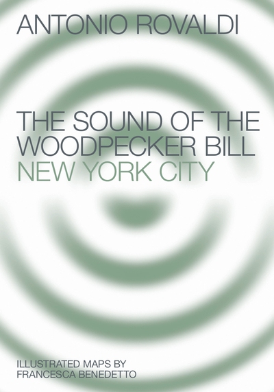 Picture of The Sound of the Woodpecker Bill – New York City