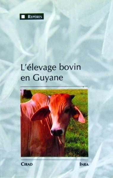 Image de L'élevage bovin en Guyane