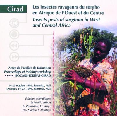 Image de Les insectes ravageurs du sorgho en afrique de l'ouest et du centre