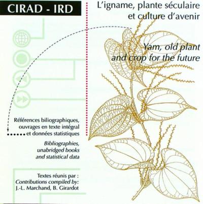 Image de L'igname, plante séculaire et culture d'avenir