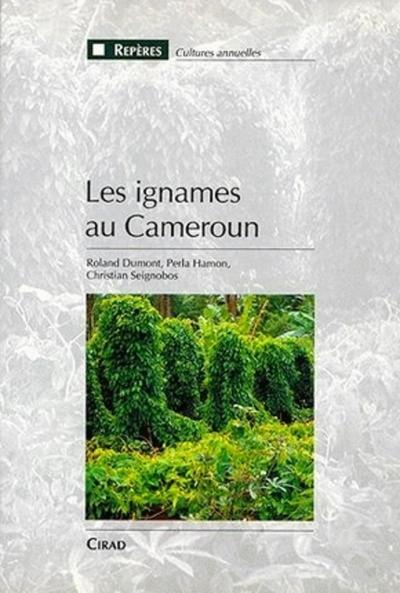 Image de Les ignames au Cameroun