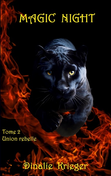 Image de Magic night