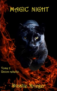 Image de Magic night