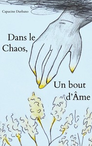 Picture of Dans le Chaos, un bout d'Âme