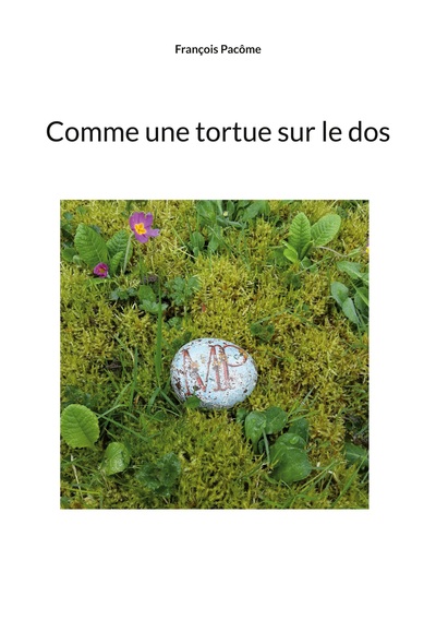 Picture of Comme une tortue