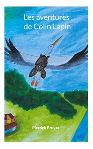 Picture of Les aventures de Colin Lapin
